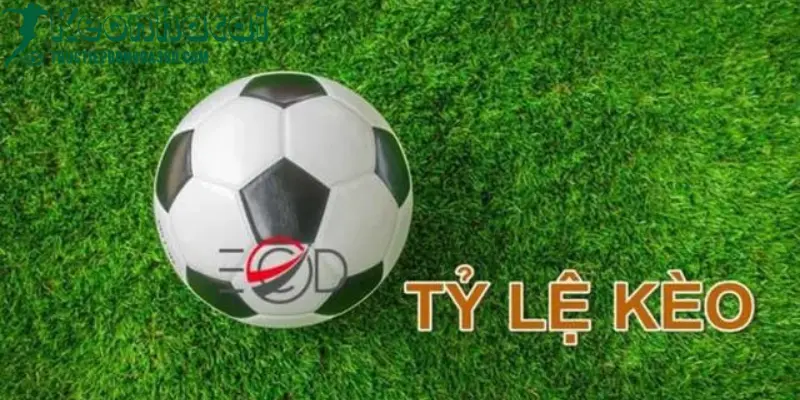 Tỷ Lệ Kèo Là Gì? Tại Sao Nó Quan Trọng Trong Cá Cược? 3 Tỷ lệ kèo là gì tructiepbongda360