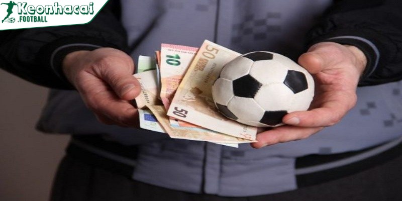 Người mới tốt nhất nên lựa chọn cược theo nhận định chuyên gia