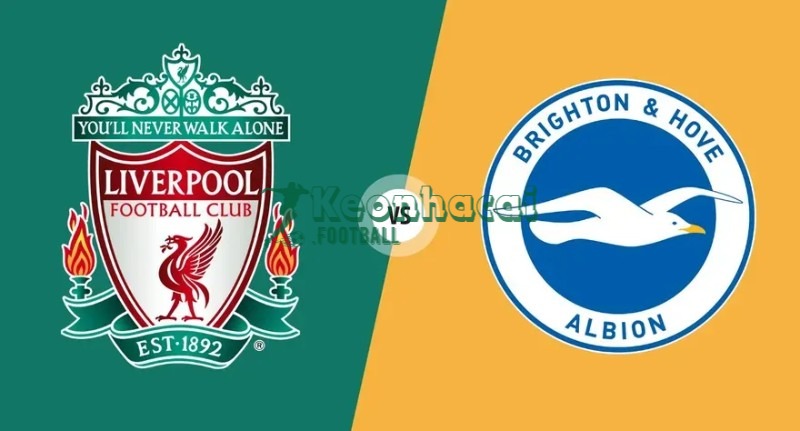 Soi kèo Liverpool vs Brighton - 22h00 ngày 13/12 - Ngoại hạng Anh