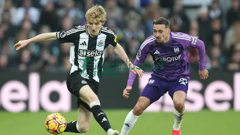 Soi kèo Newcastle vs Fulham - 3h15 ngày 18/12 - Cúp Liên đoàn Anh 2 Soi kèo Newcastle vs Fulham - 3h15 ngày 18/12