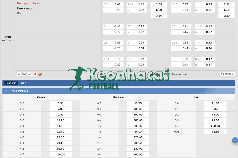 Soi kèo Nottingham vs Ferencvaros - 3h00 30/01 - Europa League 4 Tỷ lệ kèo Nottingham vs Ferencvaros
